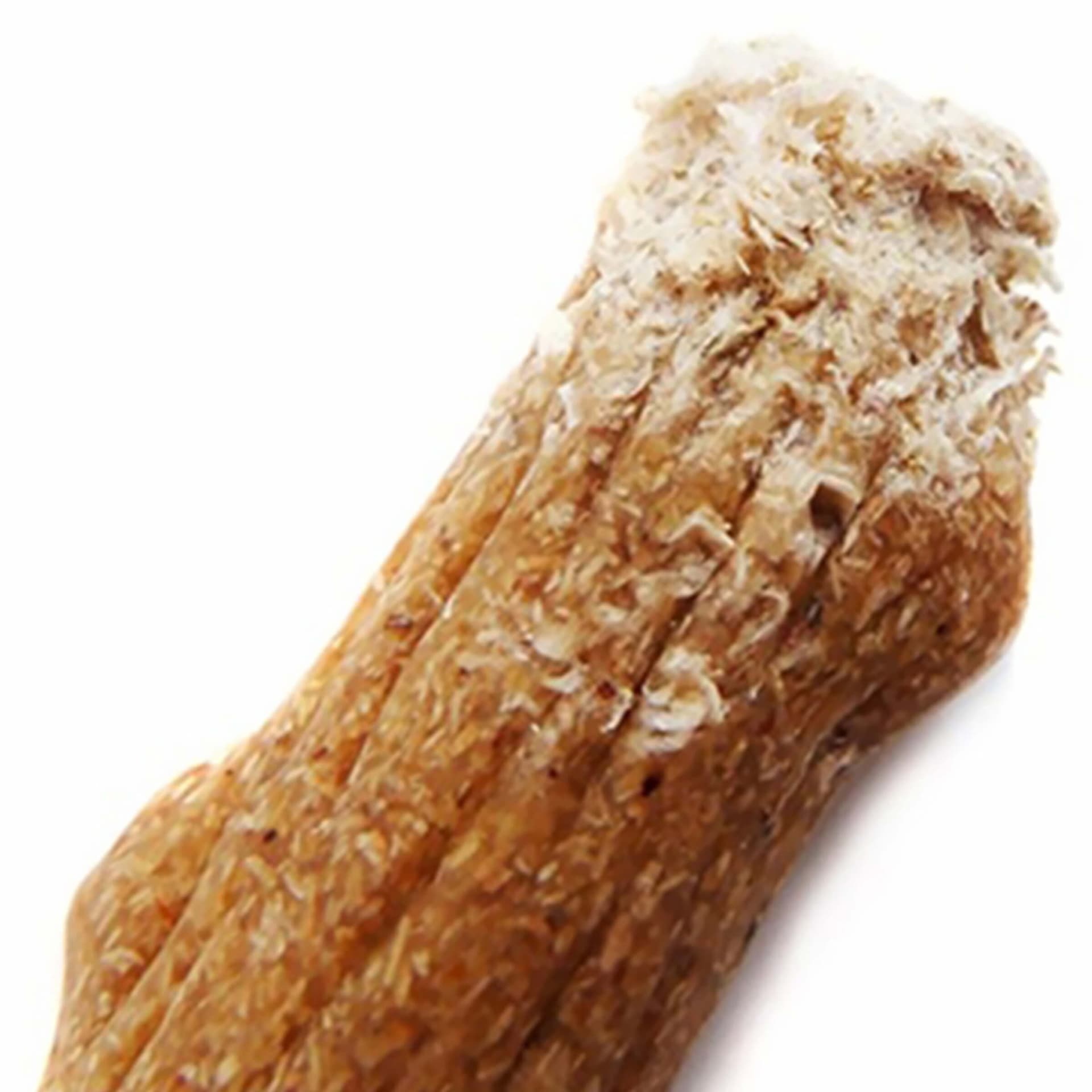 Dogwood Stick