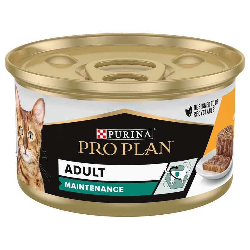 Adult Maintenance Poulet Terrine