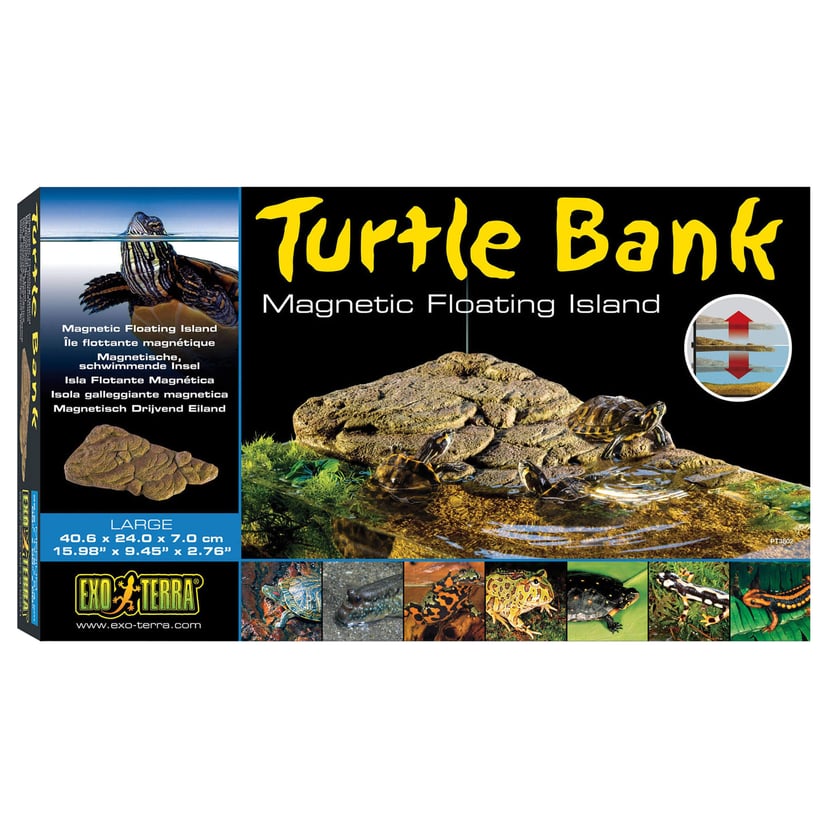 Turtle Bank