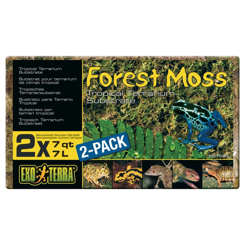 Forest Moss Substrat pour terrarium