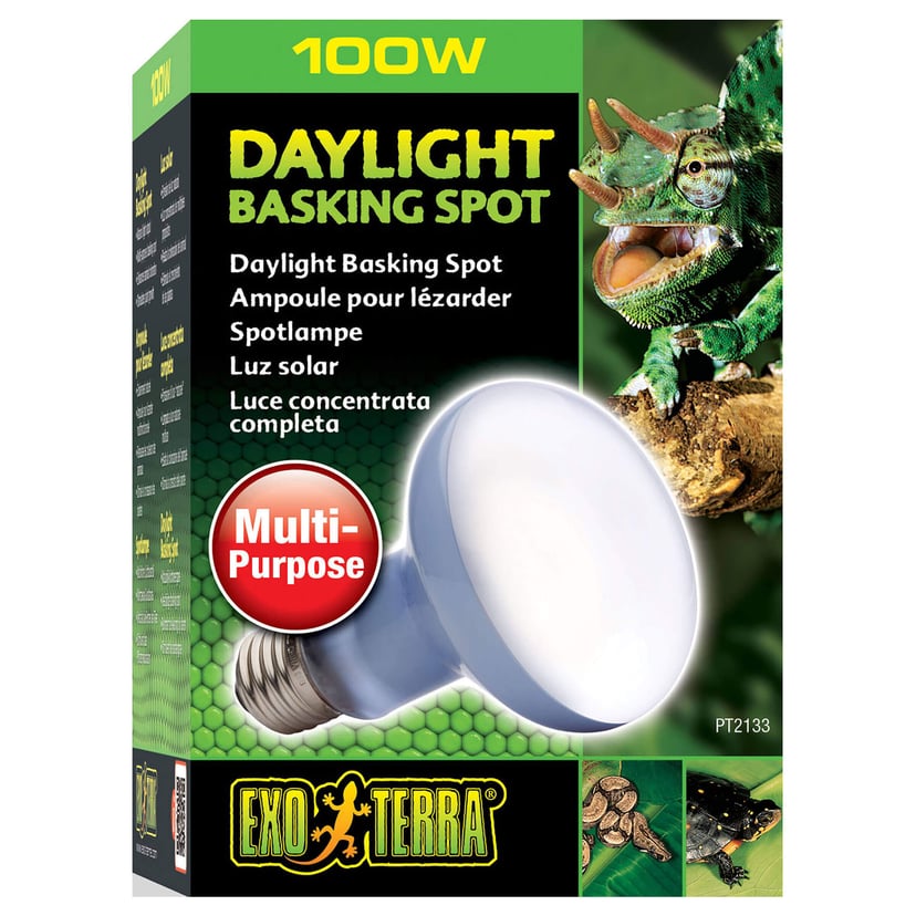 Daylight Basking Spot 100 W