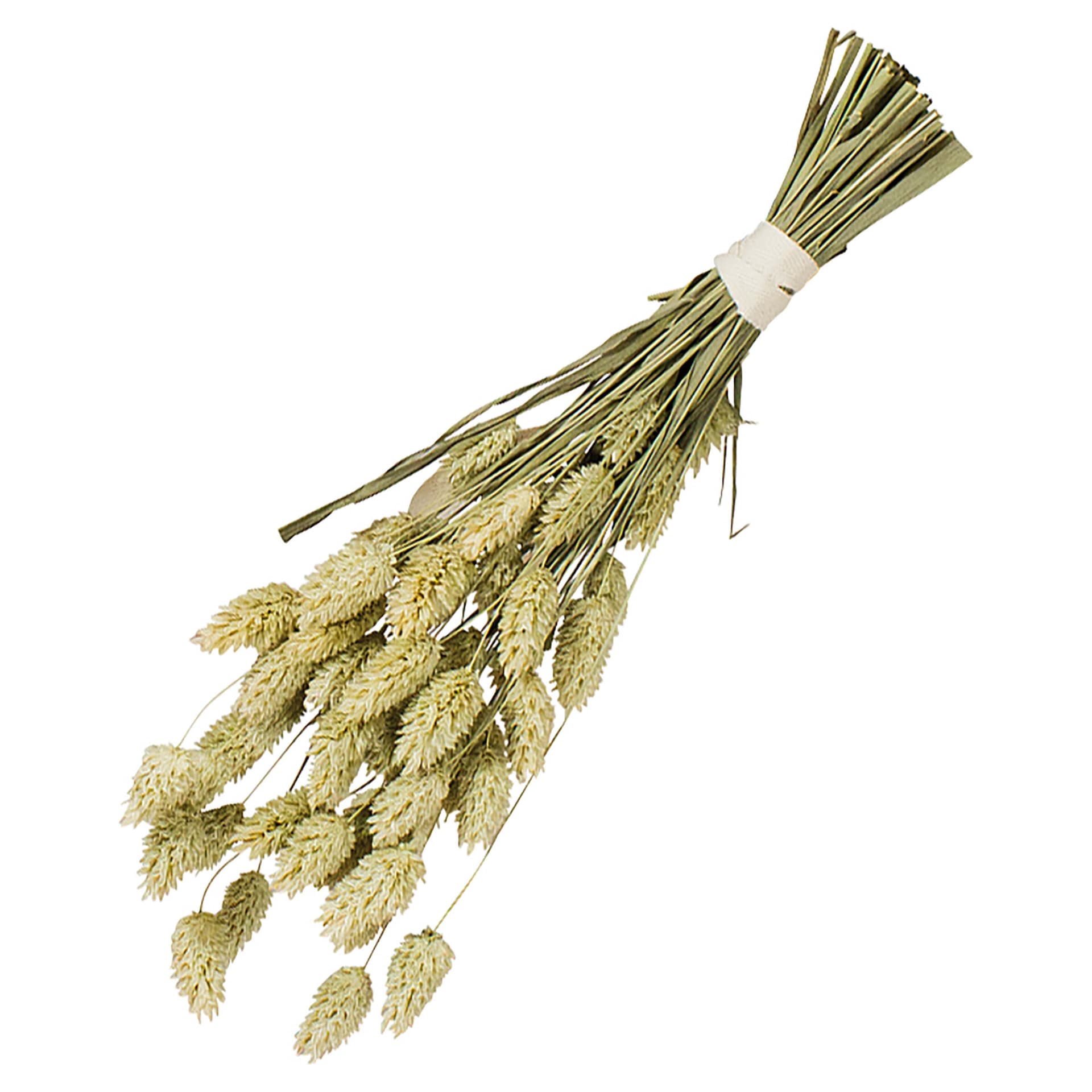 Birds Grass Bouquet pour canaris