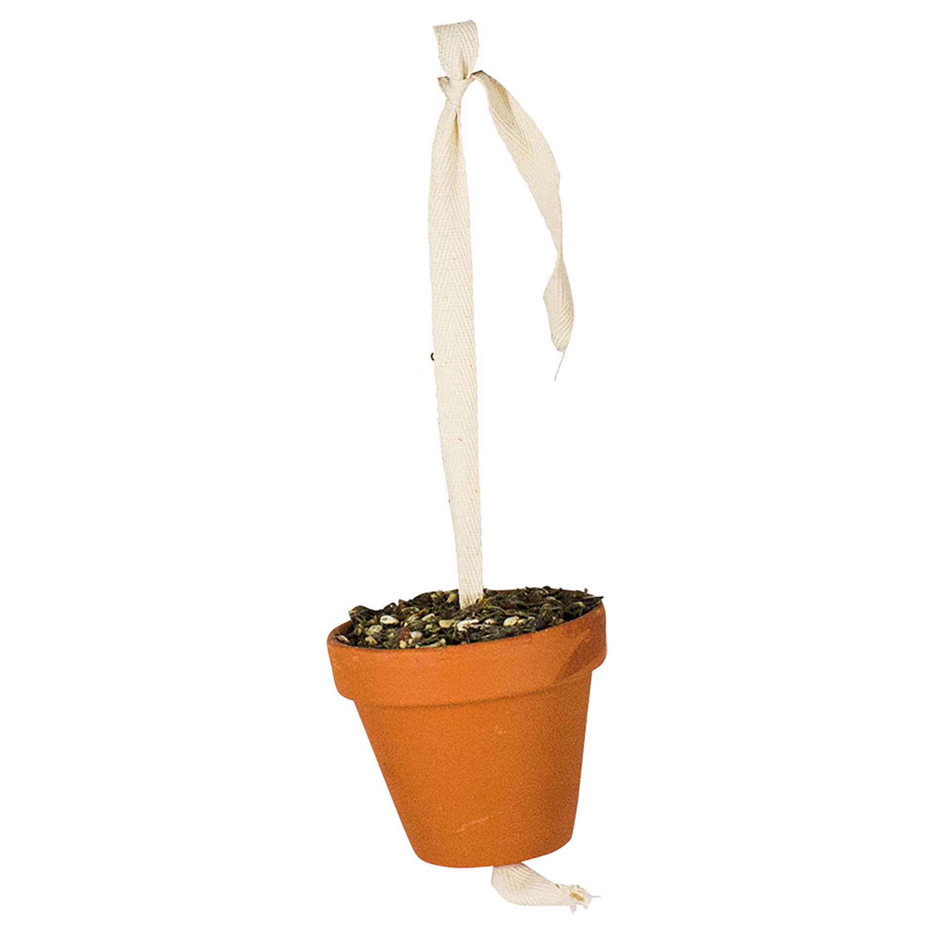 Petit pot en terre cuite pour grandes perruches et perroquets