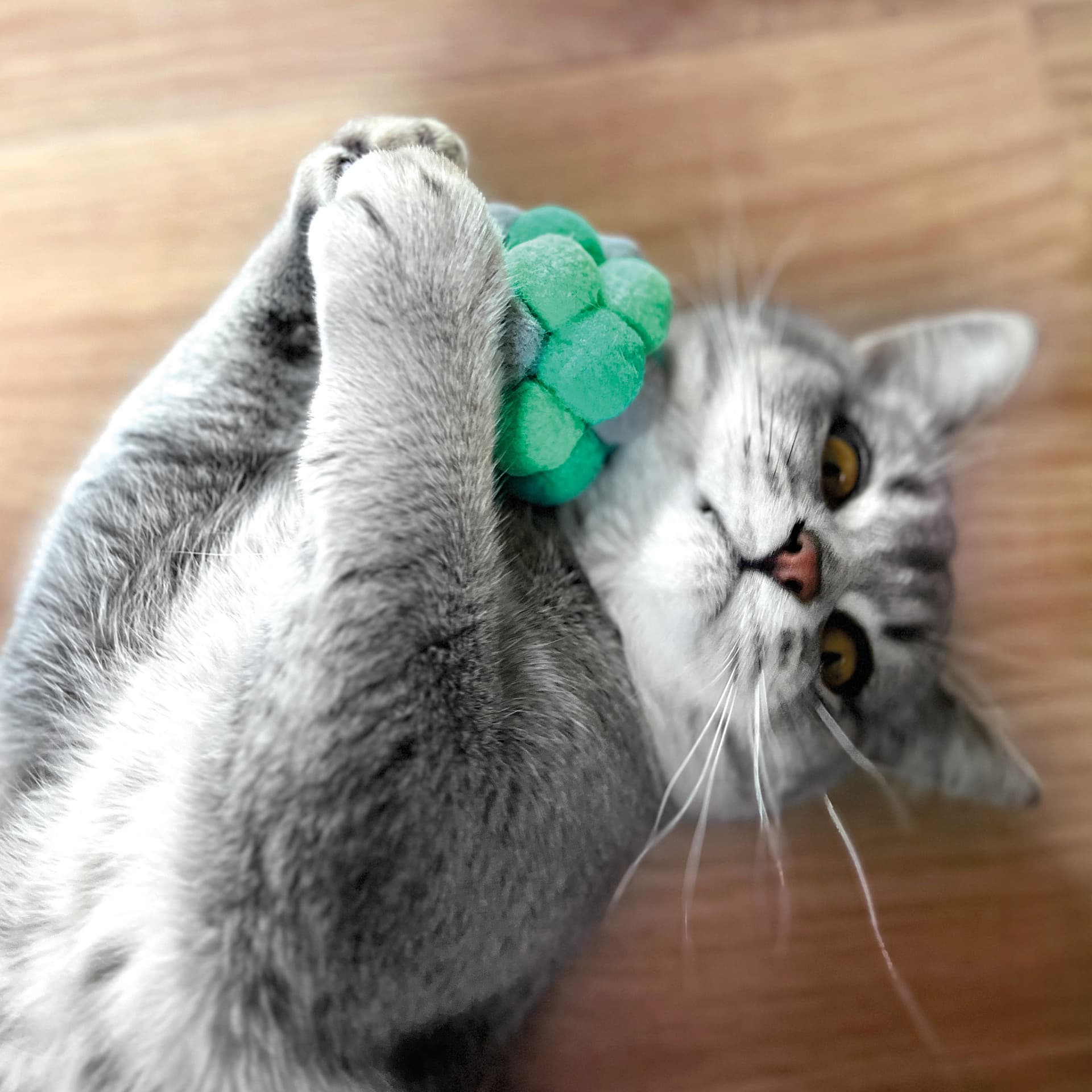 Balle en peluche