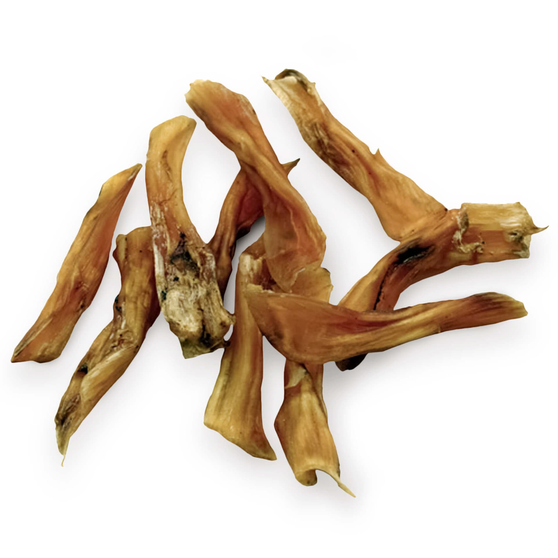 Autruche Mini Tendons de pattes plats