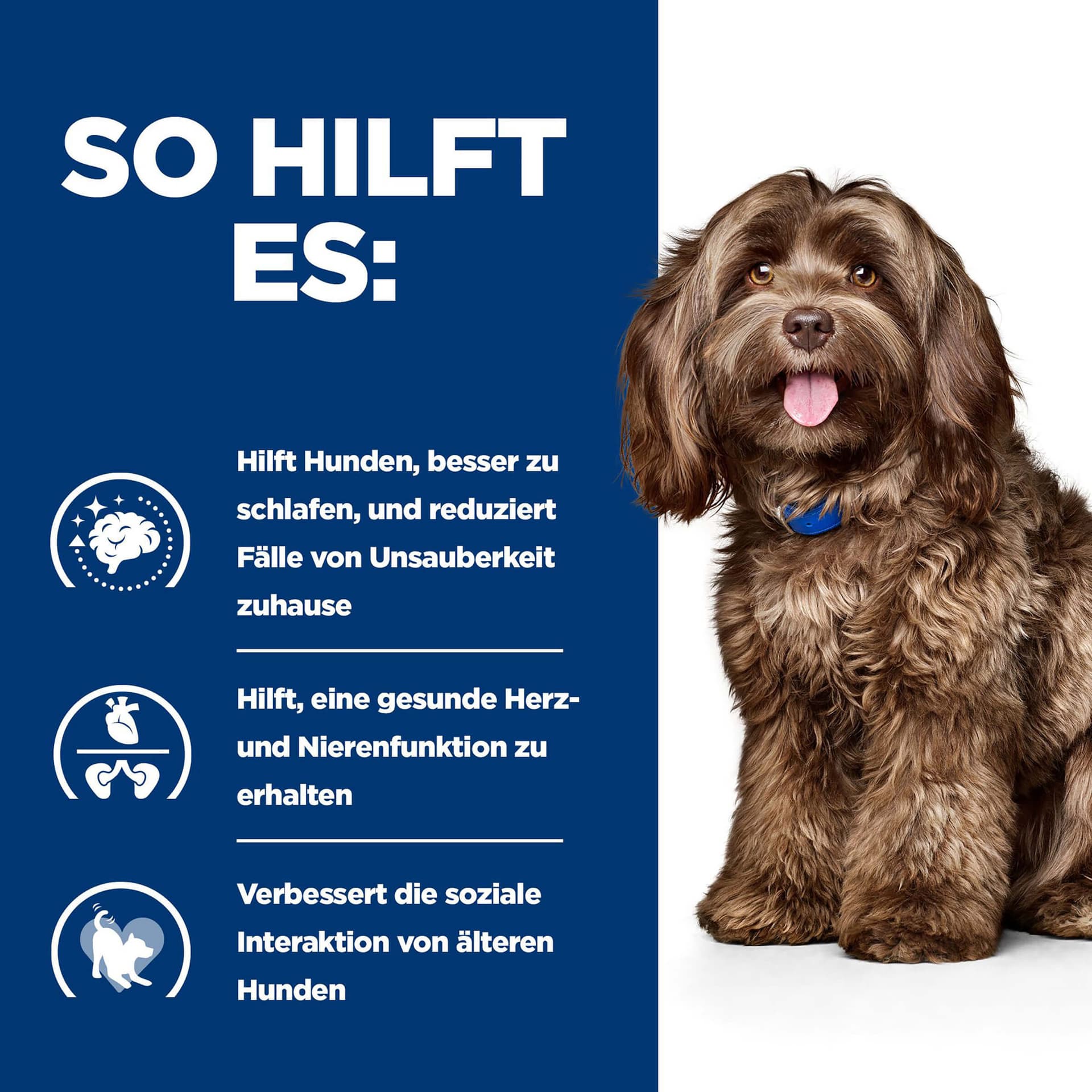 Hundfutter Prescription Diet b/d mit Huhn