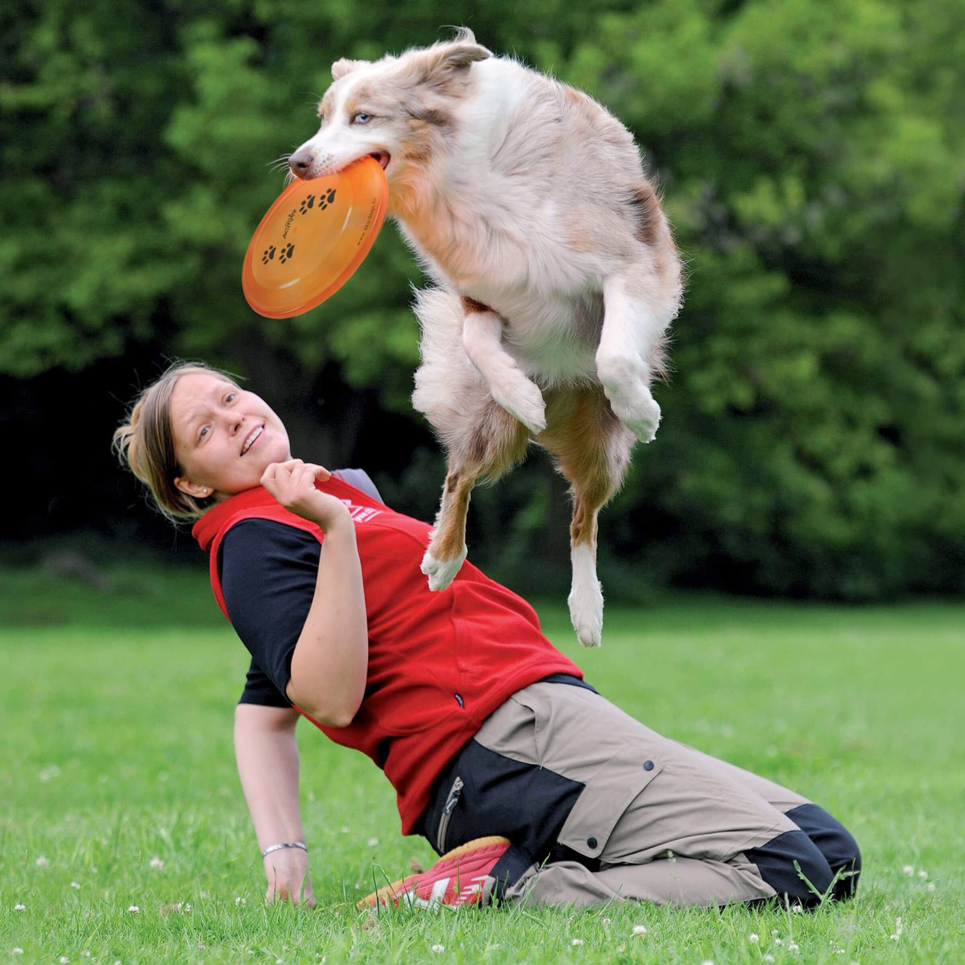 Dog Activity Dog Disc