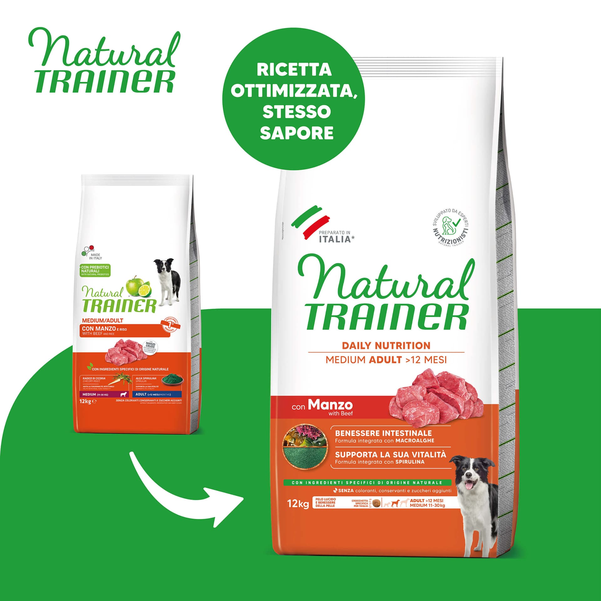 Natural Medium Adult Boeuf & Riz