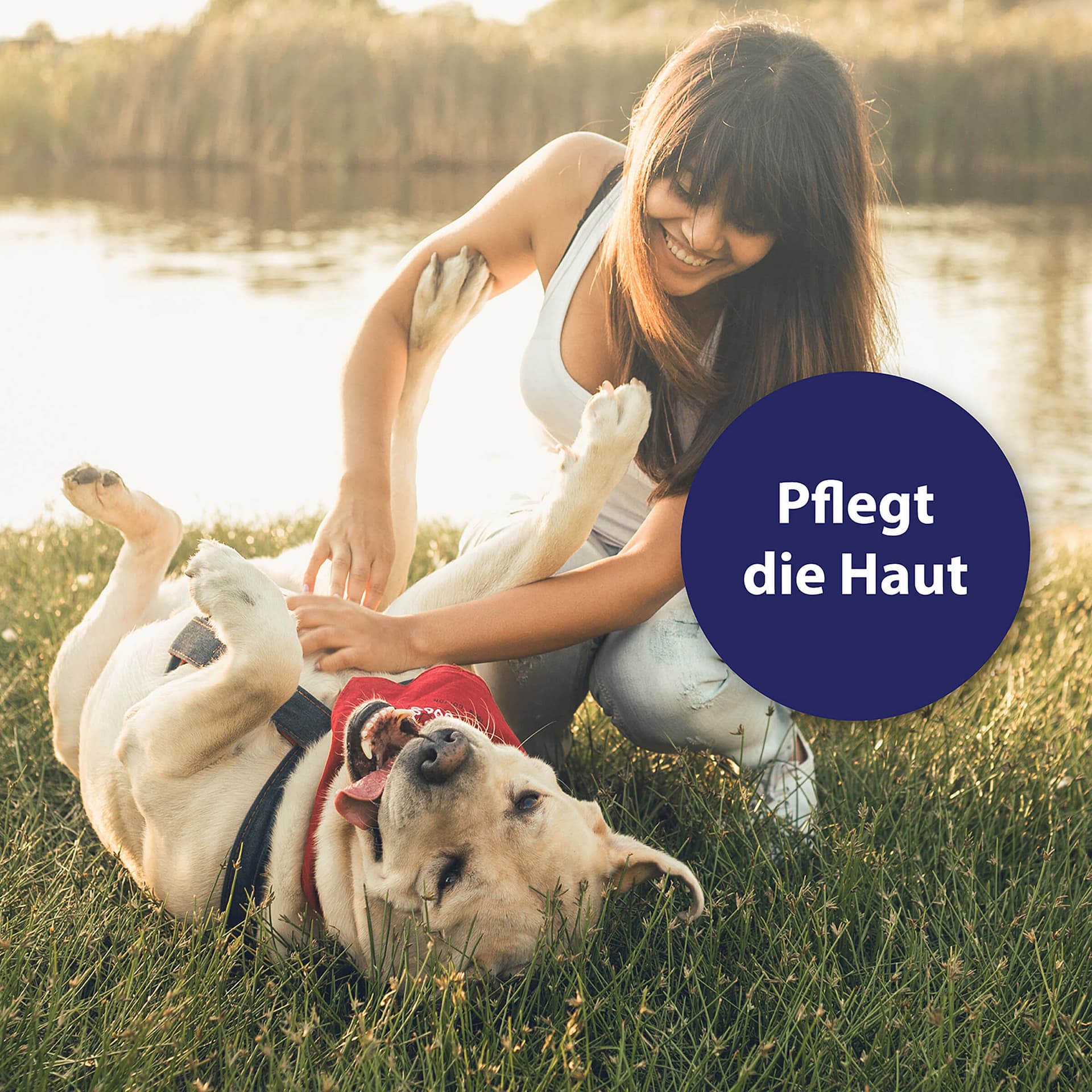 Hautpflegespray für Hunde