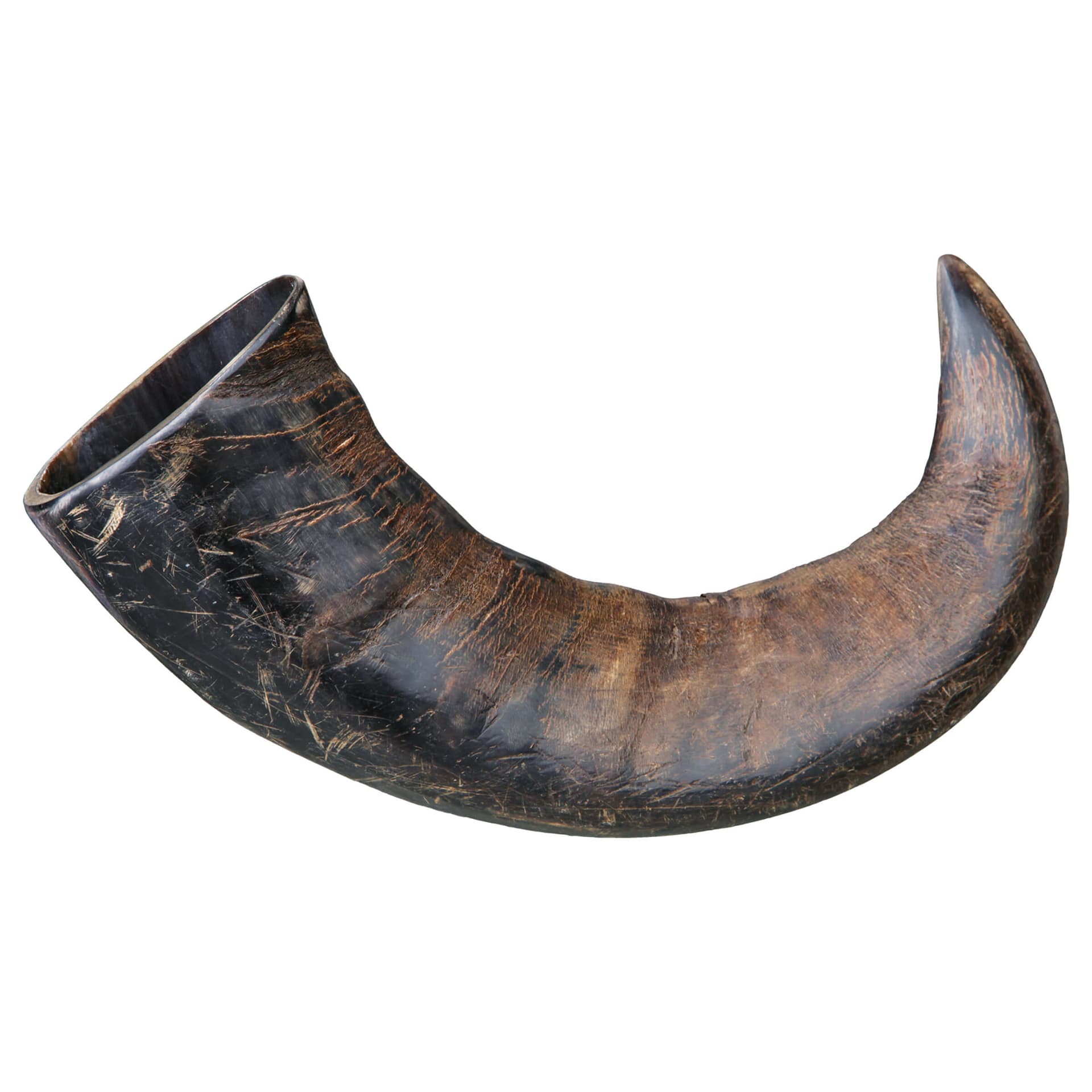 Corne naturelle de buffle à mâcher