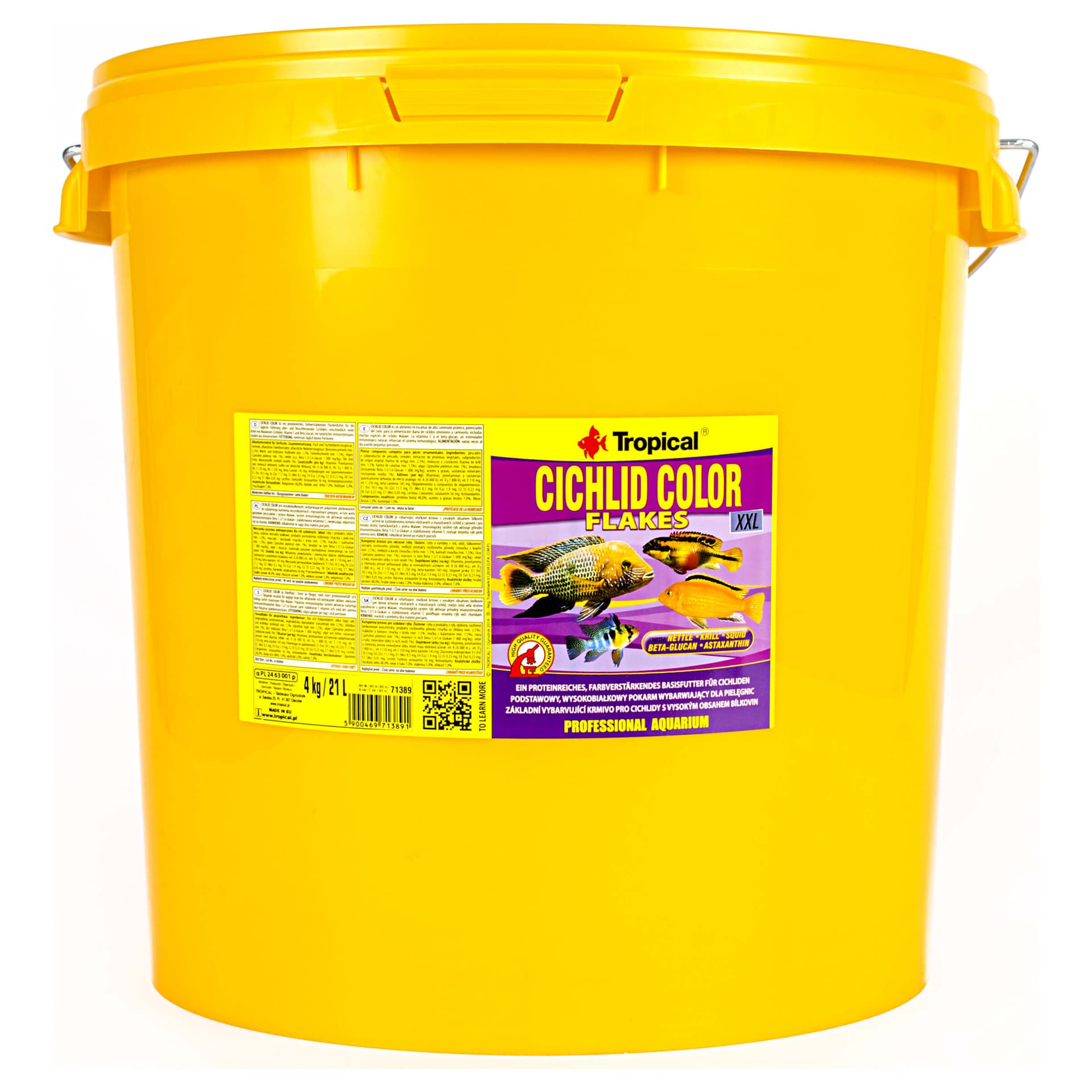 Cichlid Color