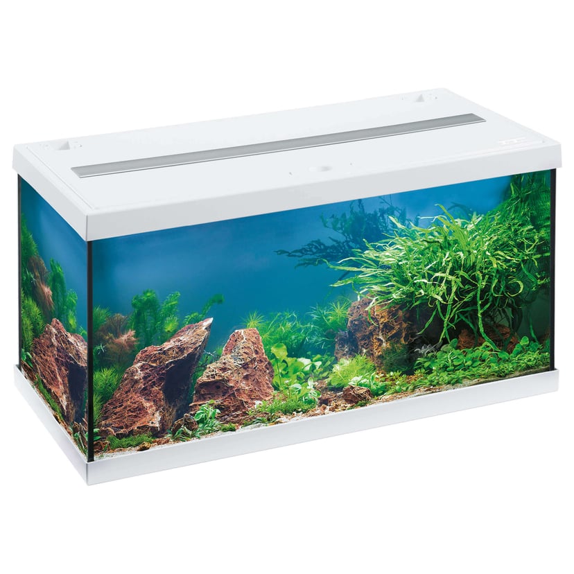 Aquarium Aquastar 54 LED