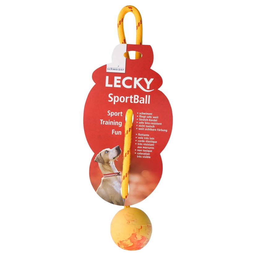 Sport Ball Wasserspielzeug für Hunde mit Kordel
