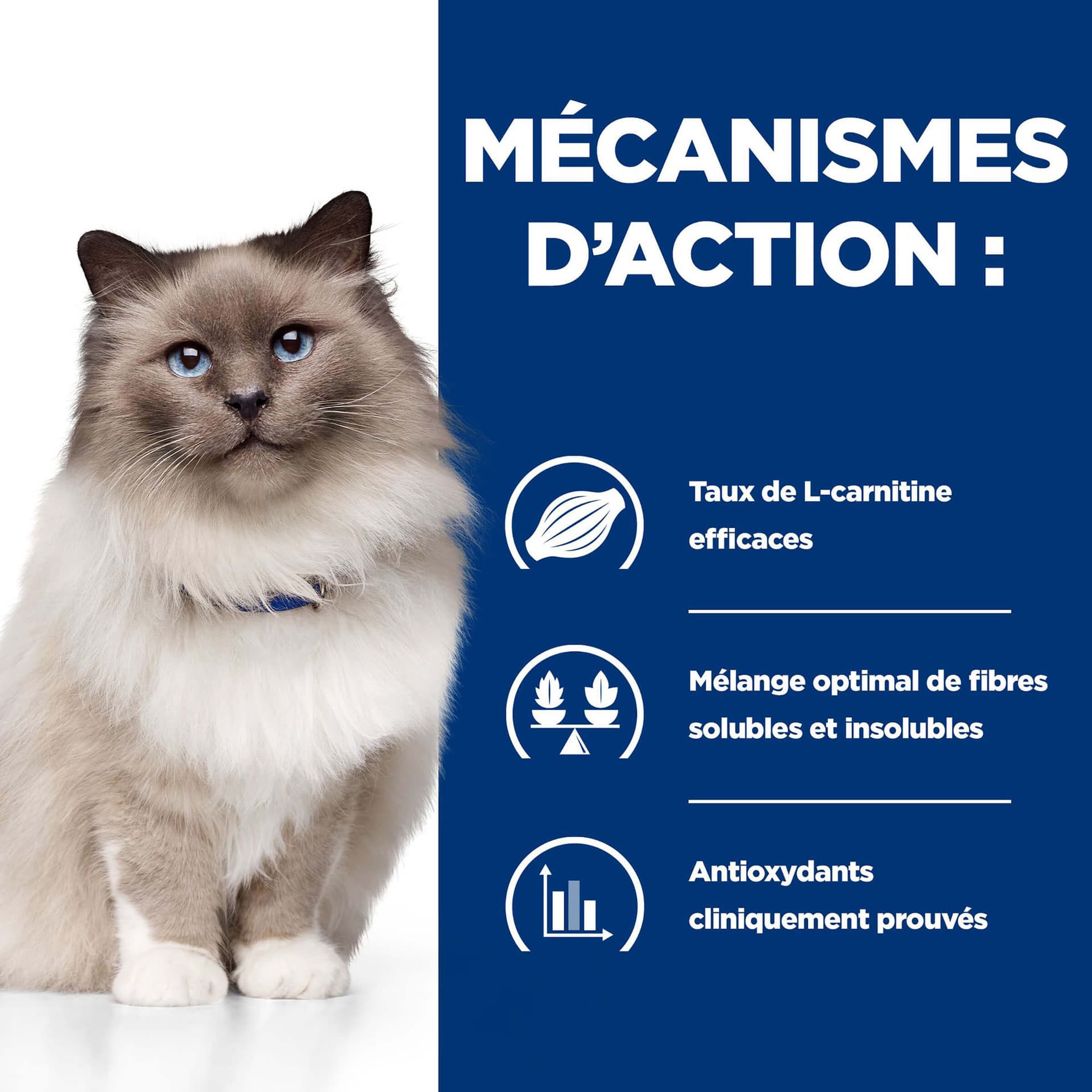 Katze Prescription Diet r/d Weight Loss