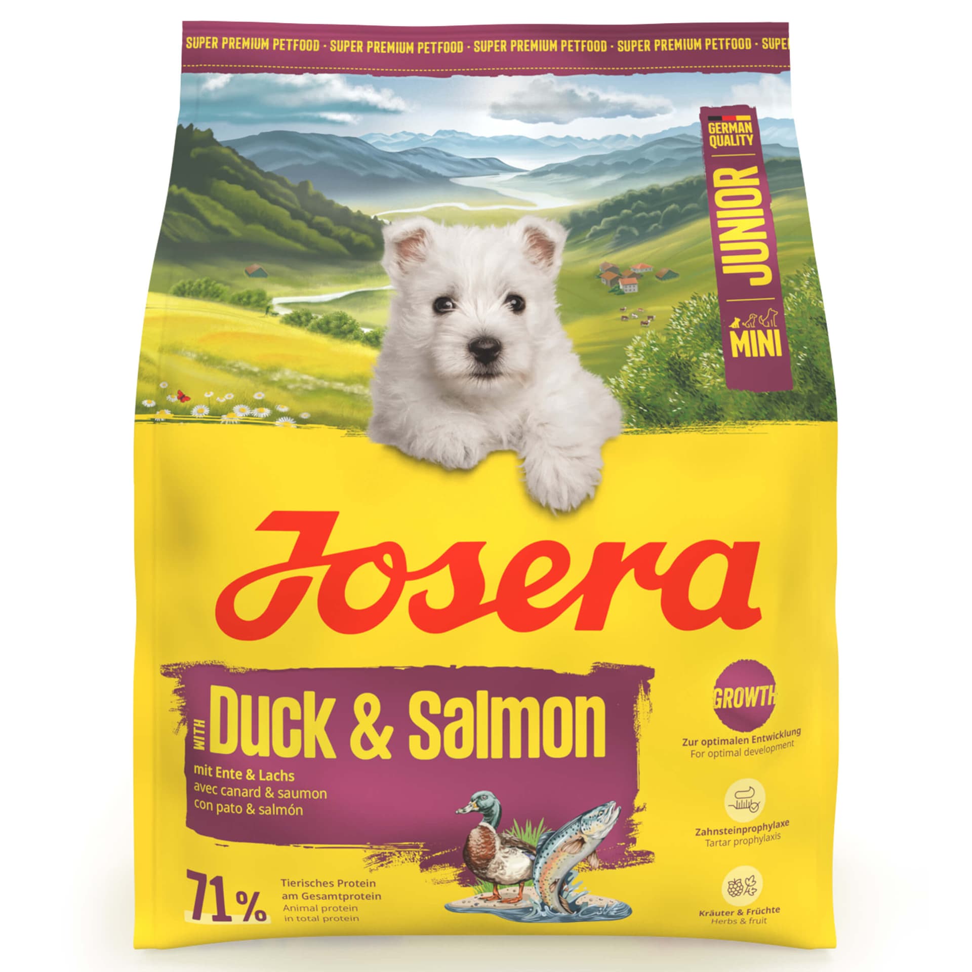 Mini Junior Duck & Salmon