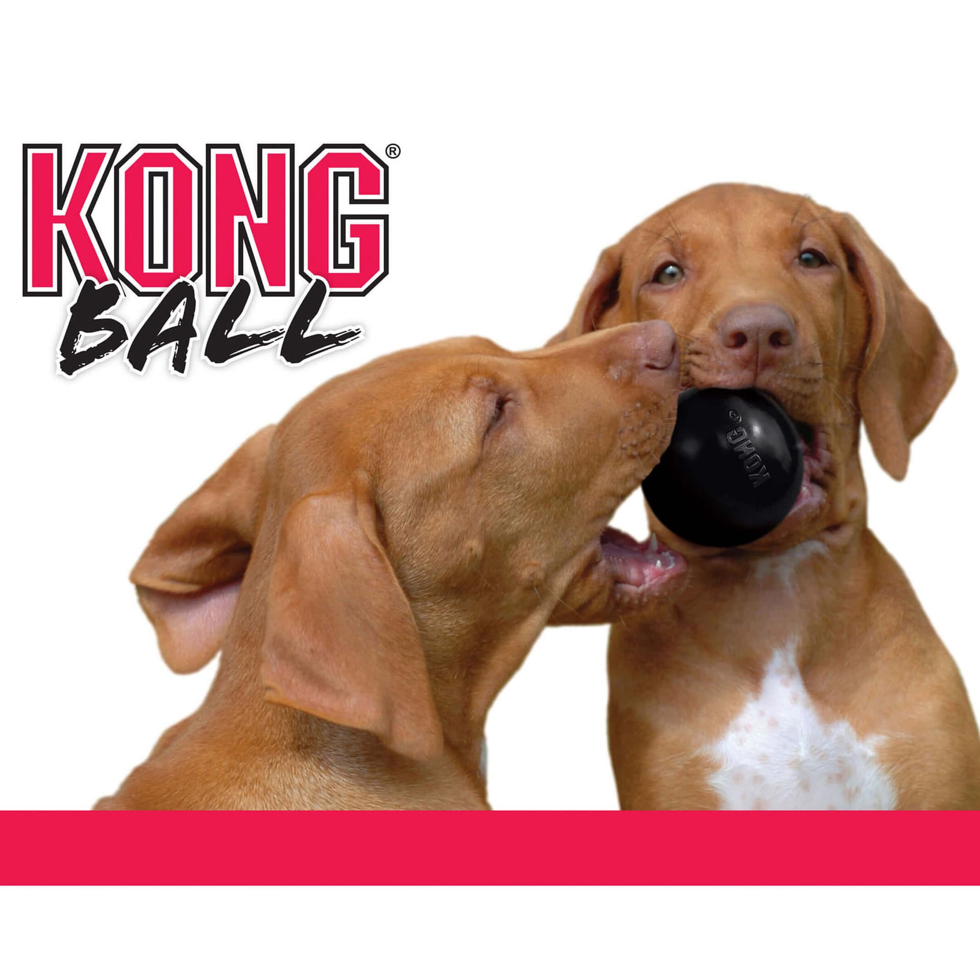 Jouet pour chiens Extreme Ball