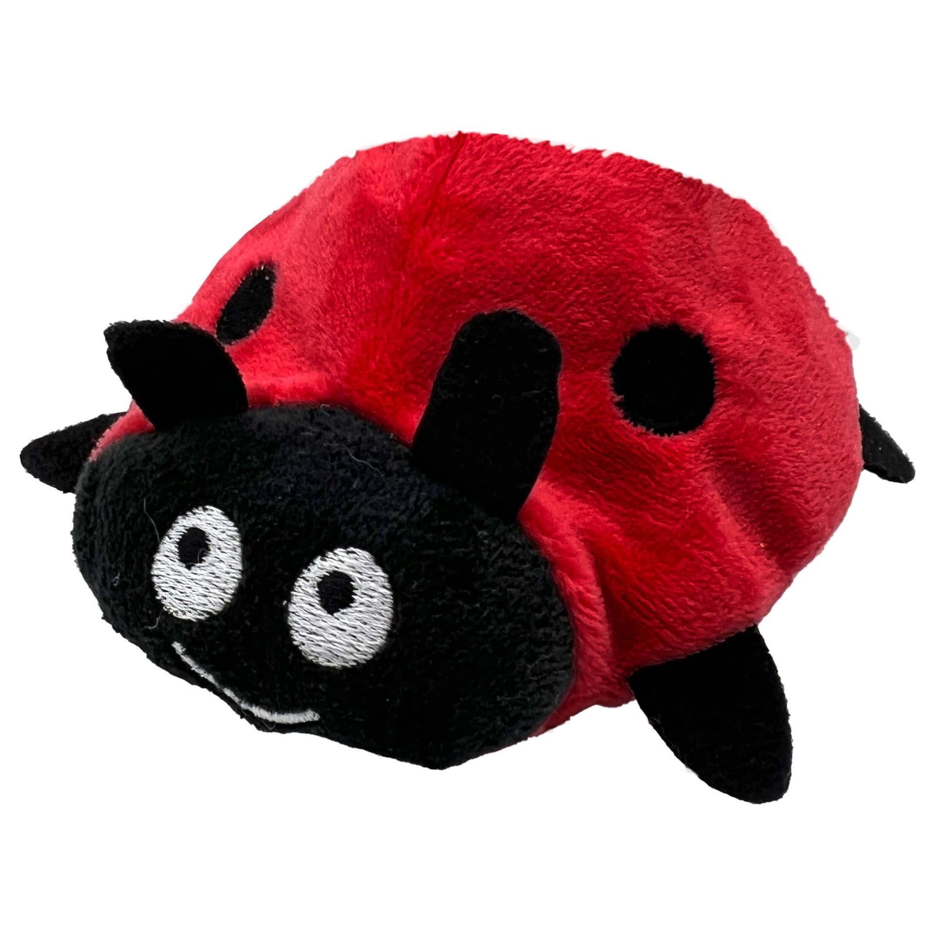 Marienkäfer Dotty
