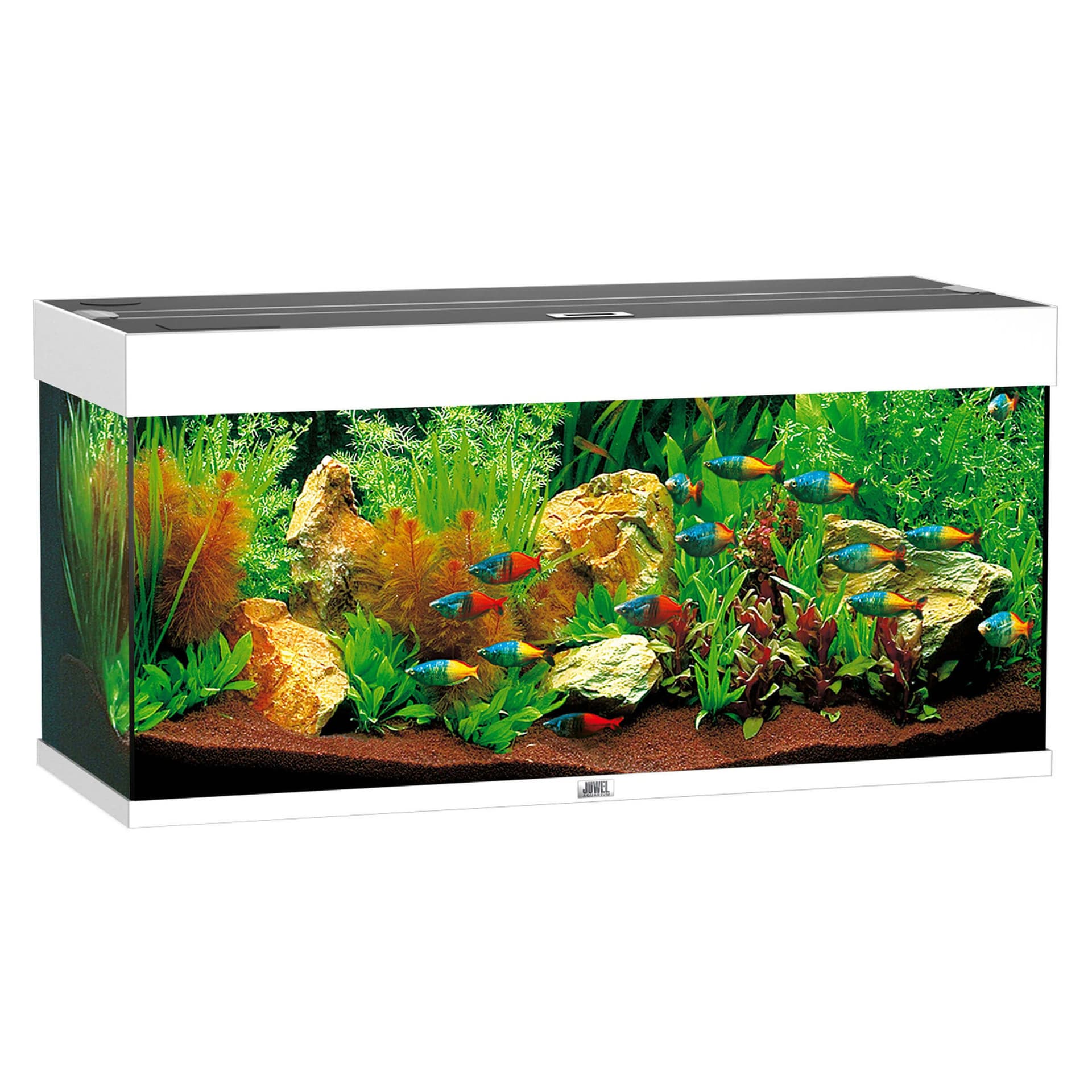 Rio 180 LED