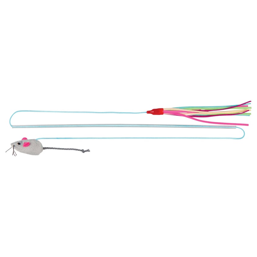 Canne à pêche avec 2 jouets