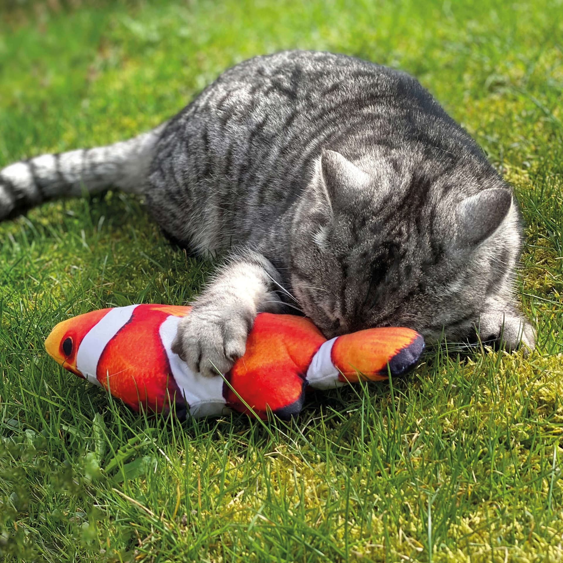 Poisson gigoteur - comme Flippity Fish - Poisson-clown
