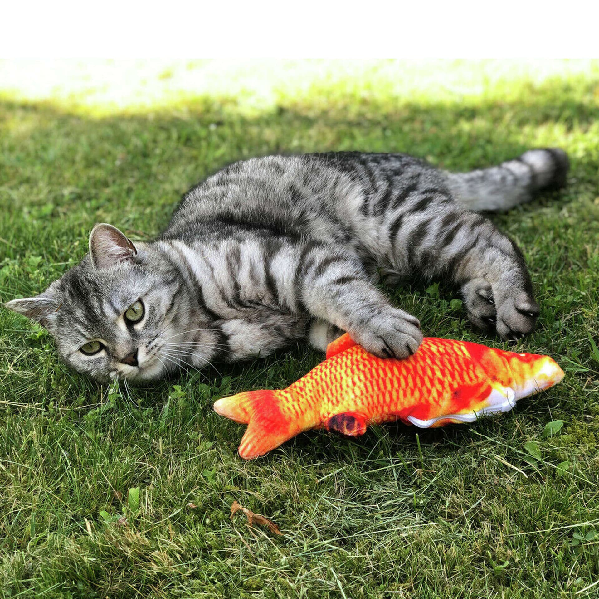 Poisson frétillant - comme Flippity Fish - Poisson rouge
