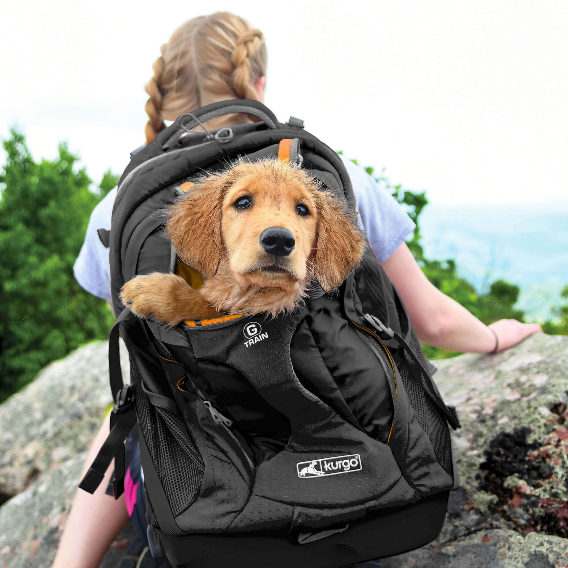 G-Train K9 Hunde Rucksack