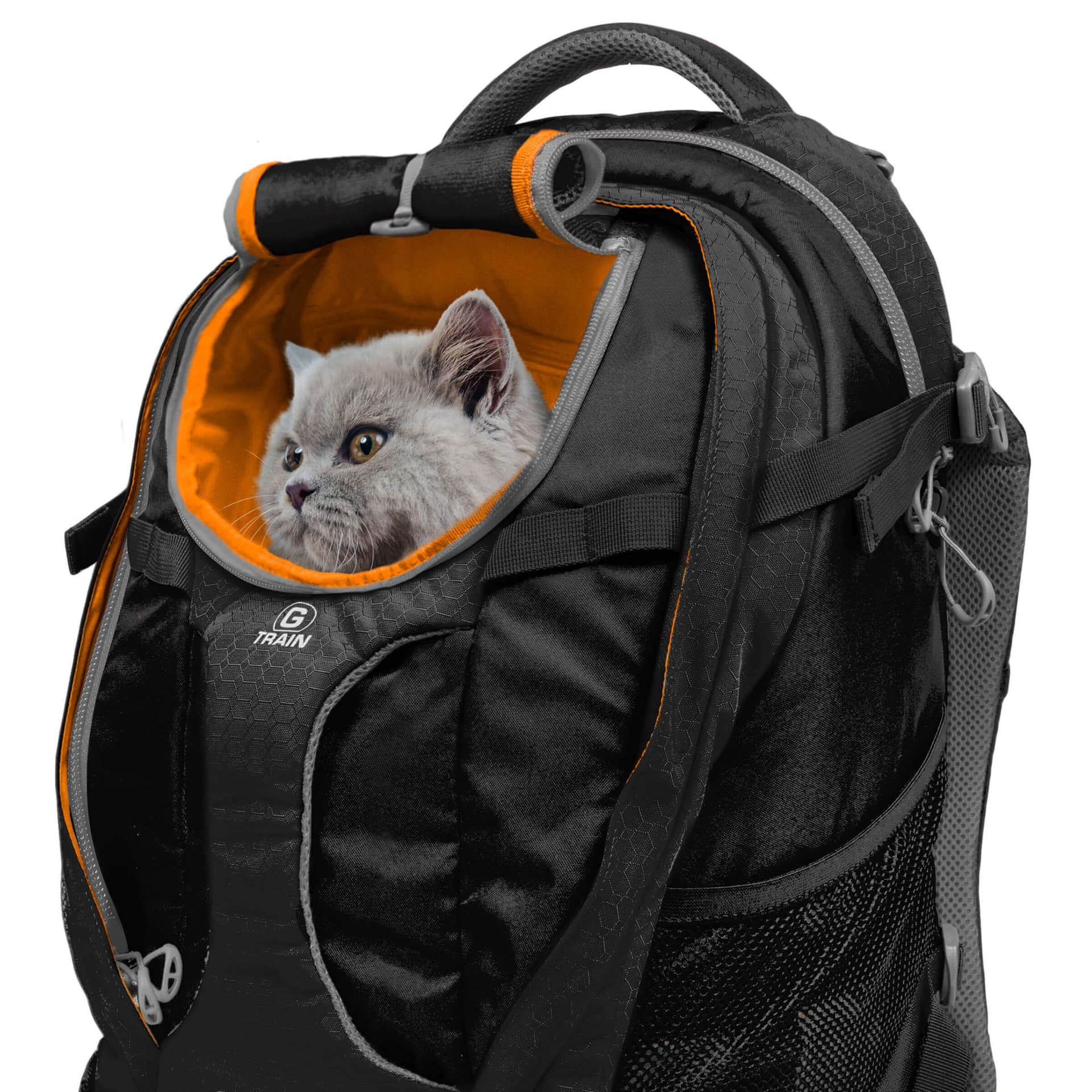 G-Train K9 Hunde Rucksack