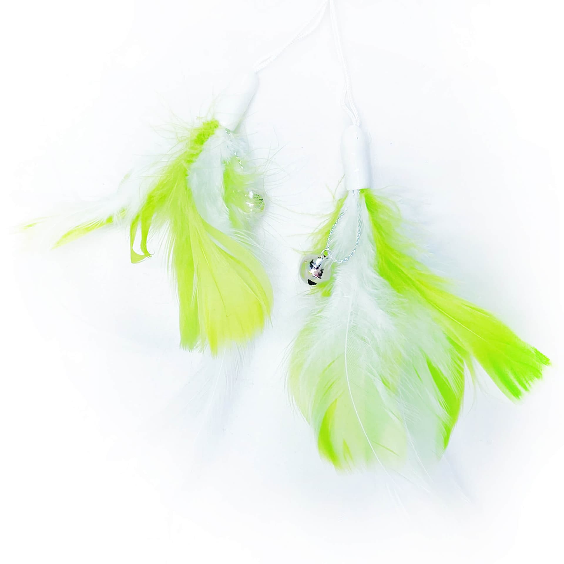 Plume de rechange