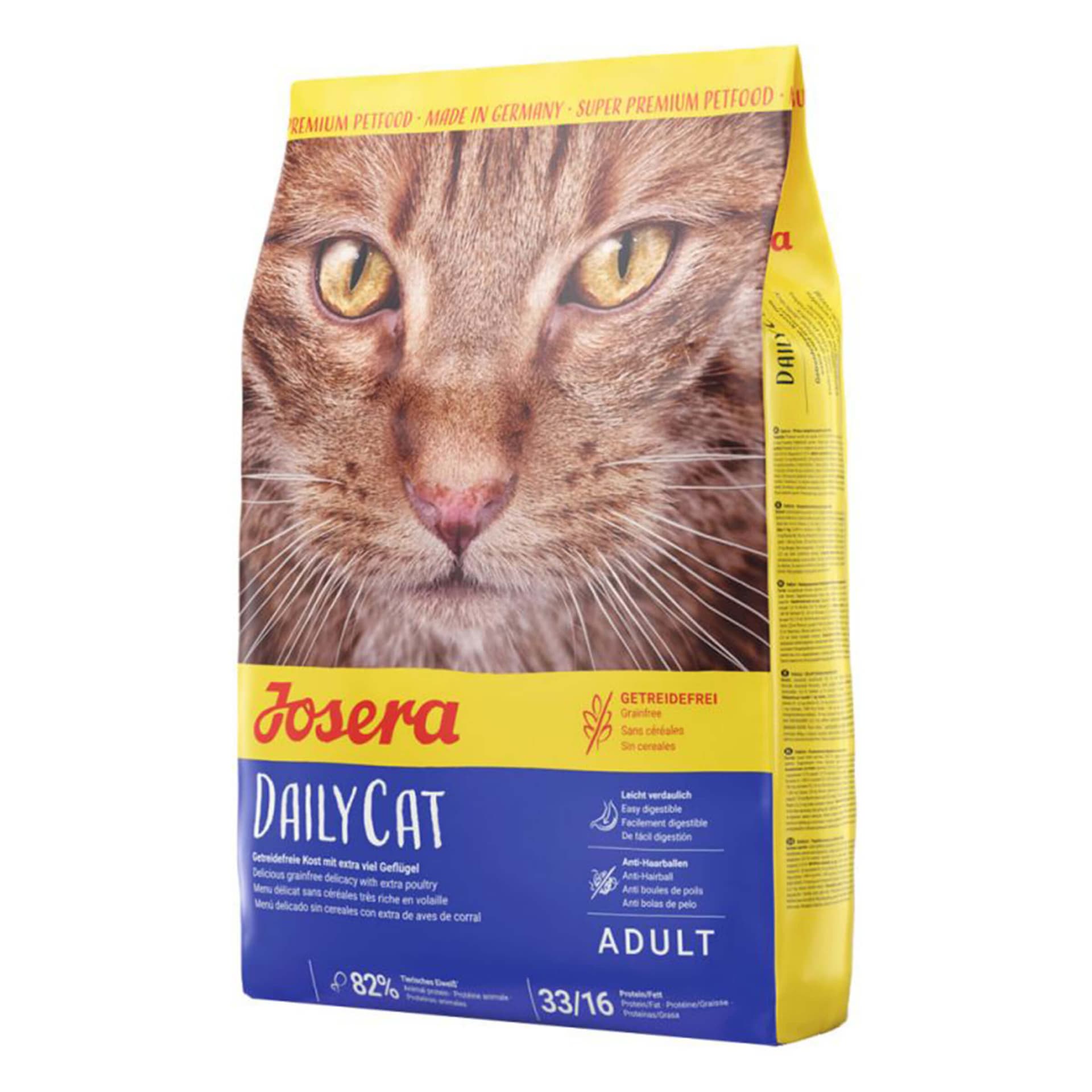 Daily Cat Adult