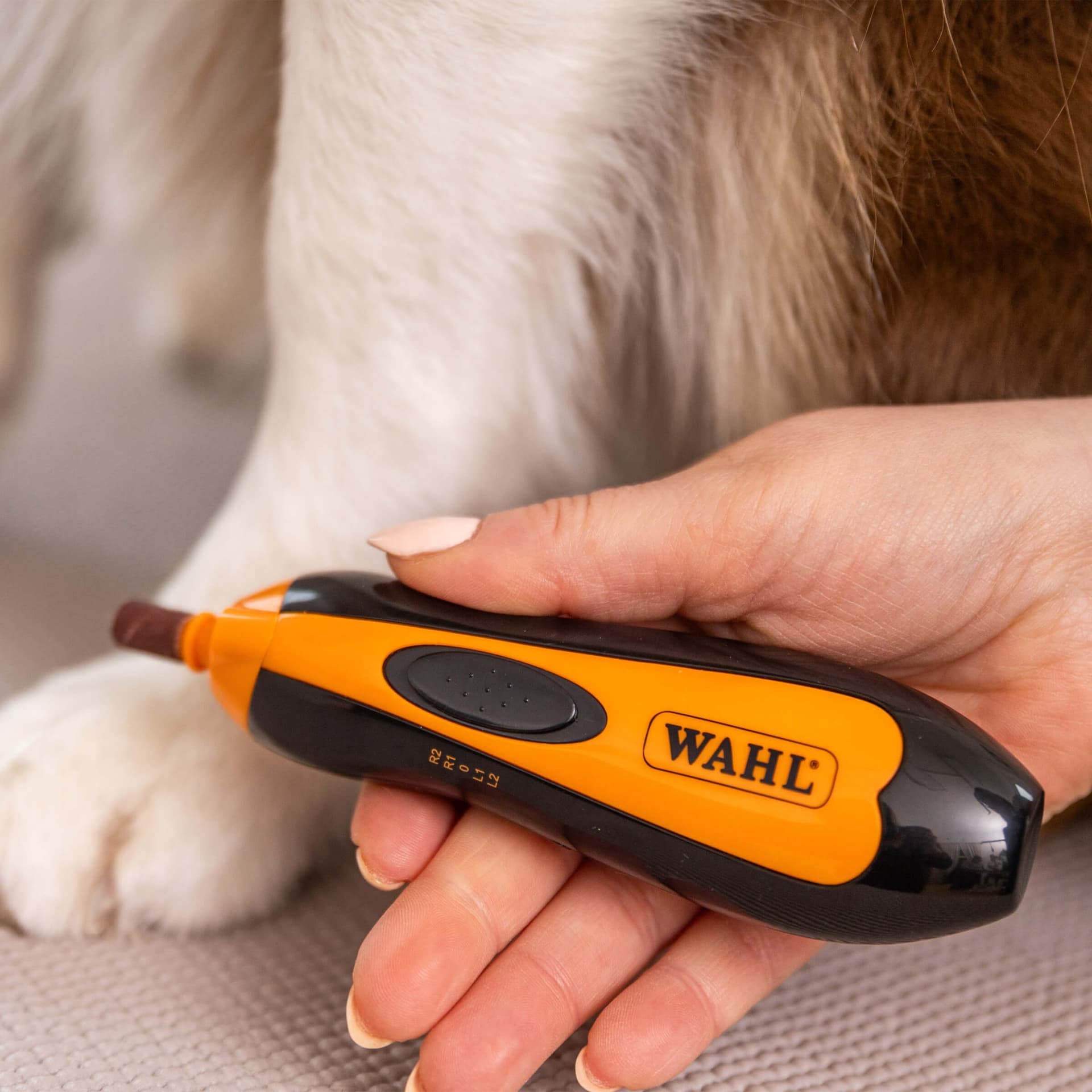 Aiguiseur de griffes sans fil Moser pour chiens & chats, type 2302