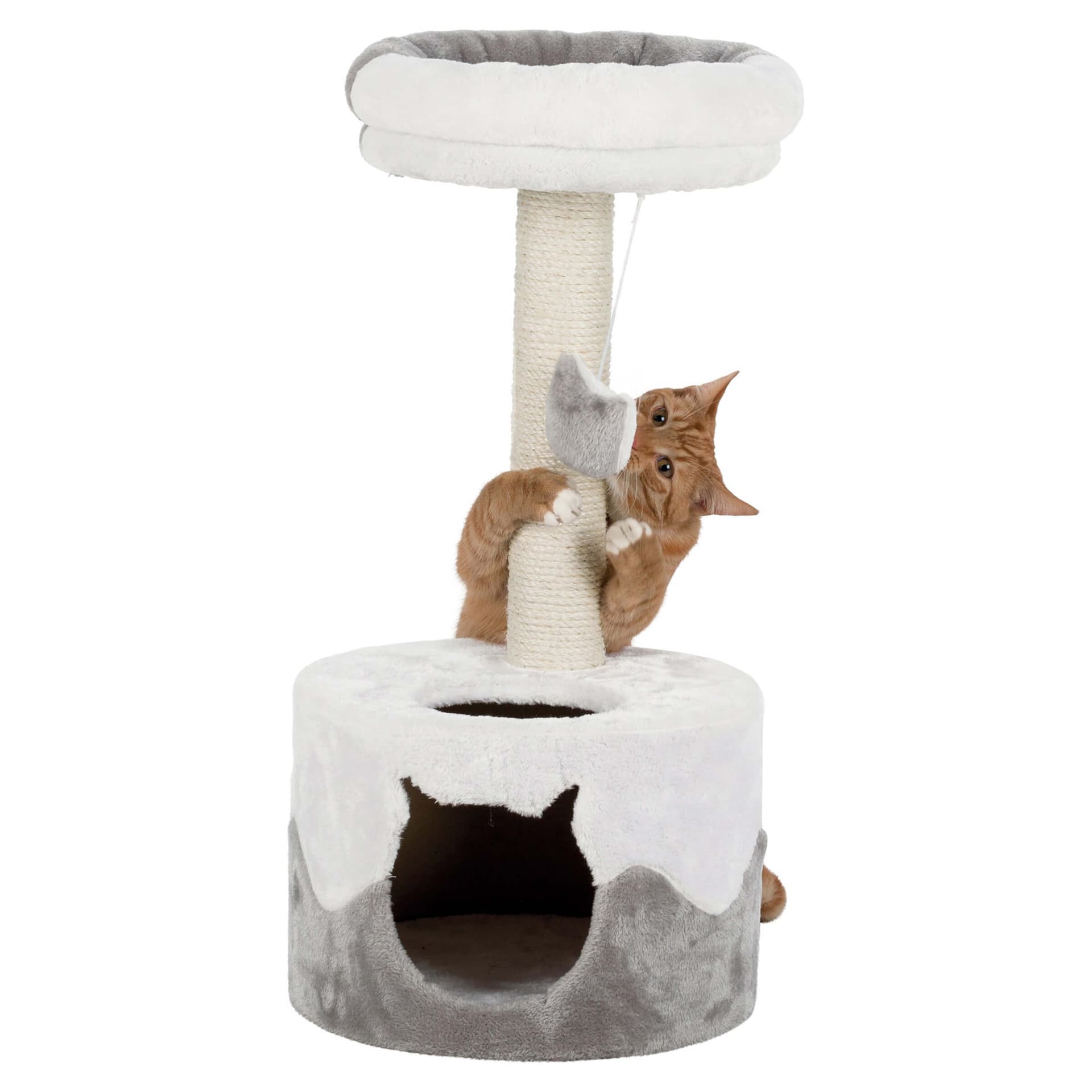 Arbre à chat Nuria