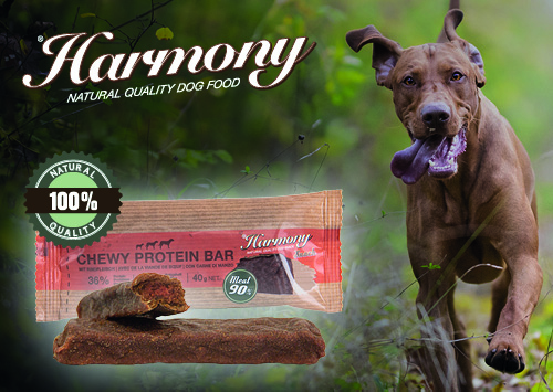 Harmony Dog Natural Chewy Protein Bar