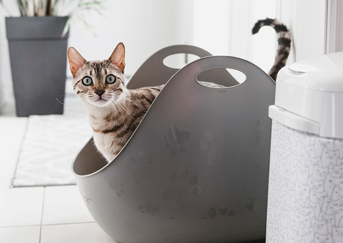 LitterBox Bac à litière pour chat