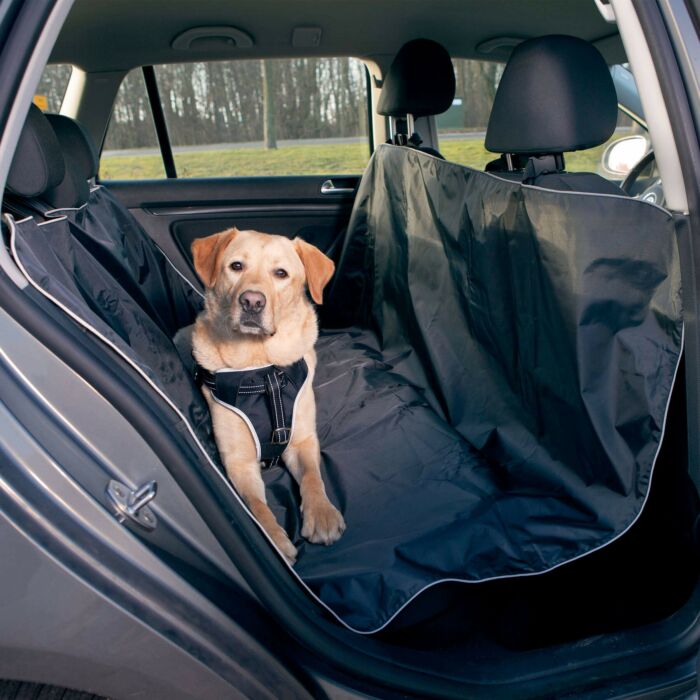 Protection de coffre de voiture Kleinmetall pour chien, protection porte  chien 