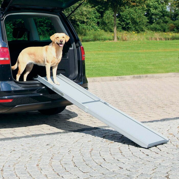 Hunderampe Einstiegshilfe Autorampe Rampe Auto Teleskop Hunde Hundetreppe
