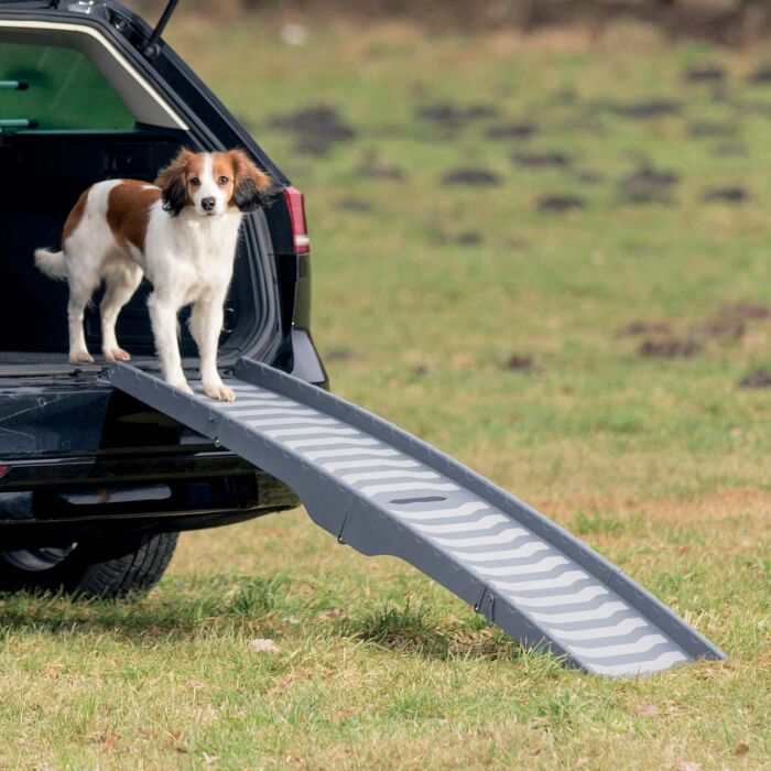 Rampe pour chien pour la voiture - réglable en hauteur