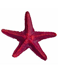 Deep Sea Aquariumdekoration Star Fish pink 12cm