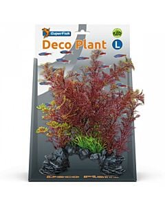 Superfish Deco Plant Plante d'aquarium Cabomba rouge L
