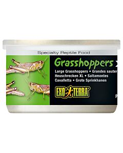 Exo Terra Reptilienfutter Grasshoppers 34g