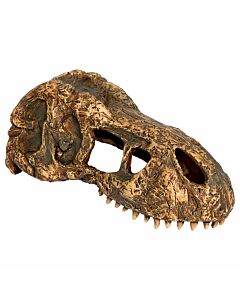 Exo Terra Deko-Versteck T-Rex Skull, 15x7x7cm