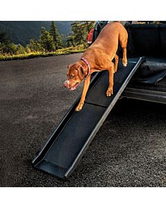 Freezack Rampe pour voiture Travel Dog