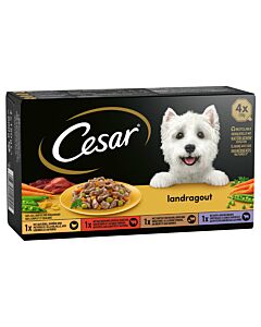 Cesar Culinaria Multipack 4x150g