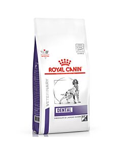 Royal Canin VET Hund Dental 6kg