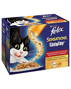 Felix Sensations Crunchy Crumbles Fleisch 6x10x100g