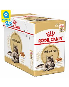 Royal Canin Katze Mainecoon 12x85g