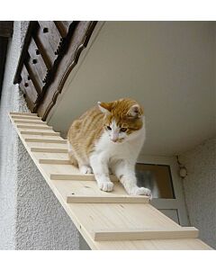 swisspet Katzentreppe 1 Meter ohne Verbindung