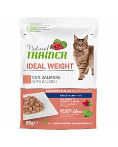 Trainer Natural Ideal Weight Lachs 85g