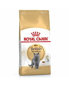 Royal Canin British Shorthair 34