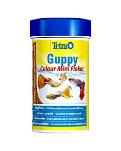 Tetra Guppy Colour