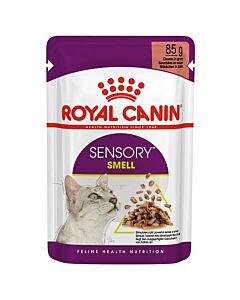 Royal Canin Chat FHN Sensory Smell en sauce